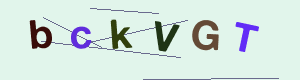 captcha img