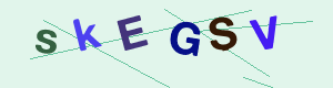 captcha img
